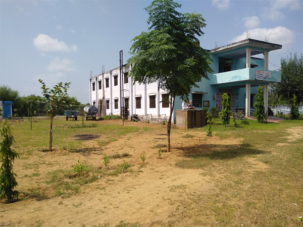 College Building